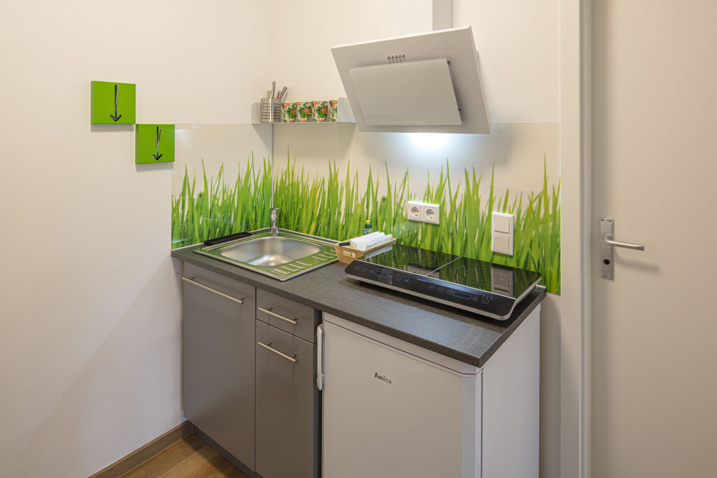 Froschkönig Kochnische