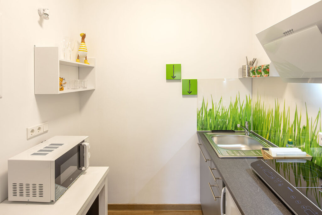 Froschkönig Kochnische