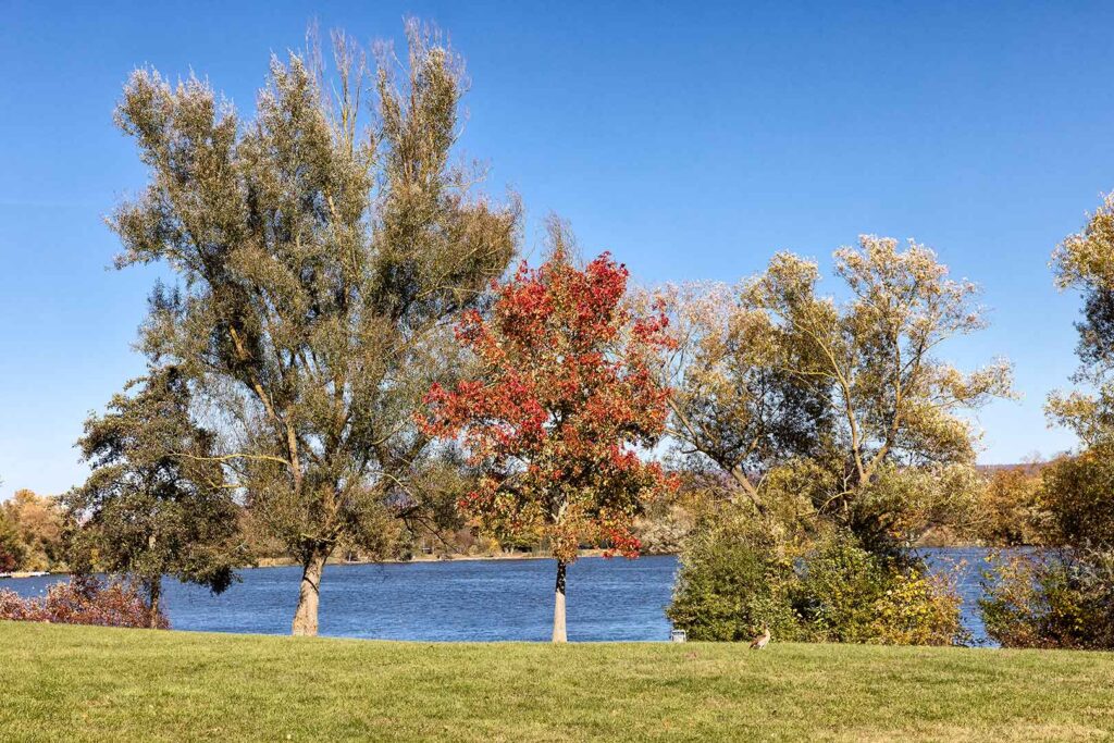 Göttingen - Kiessee